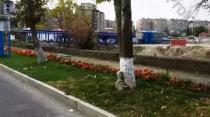 Վաճառվում է Բնակավայրերի բնակելի կառուցապատման հող Երևան, Ավան, Բաբաջանյան