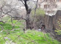 Վաճառվում է Բնակավայրերի բնակելի կառուցապատման հող Երևան, Արաբկիր, Կոմիտաս պող