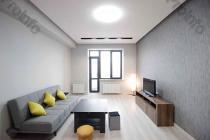 For Rent 2 room Apartments Yerevan, Center, Argishti