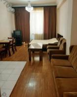 For Rent 1 room Apartments Երևան, Մեծ կենտրոն, Արգիշտի