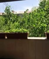 Վաճառվում է 6 սենյականոց բնակարան Երևան, Արաբկիր, Կոմիտաս պող